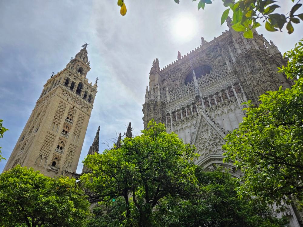 20240417_133649~22829270170518953903.