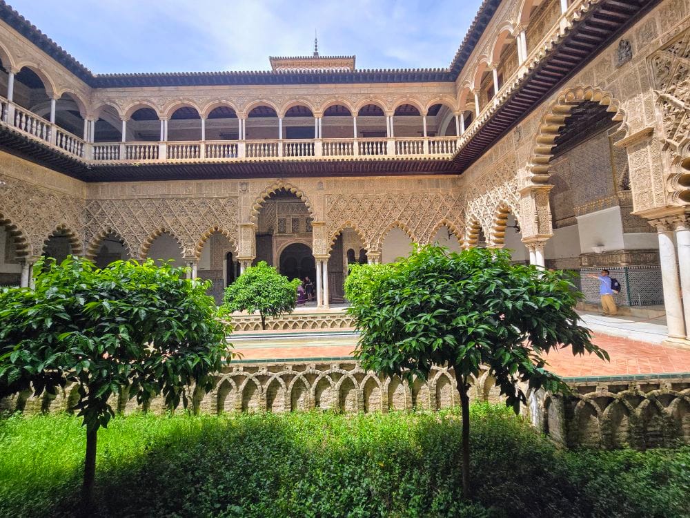 20240417_14542521445221503443646931.