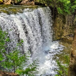 small waterfall in forest