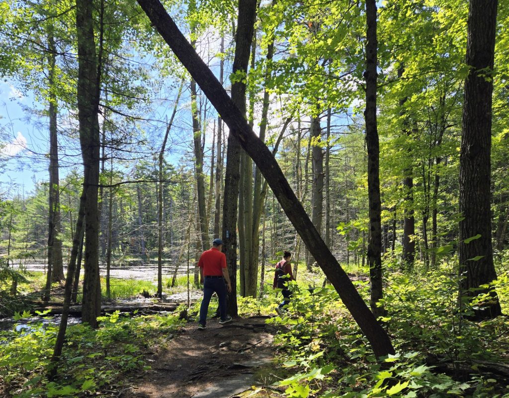 Hardy Lake trail