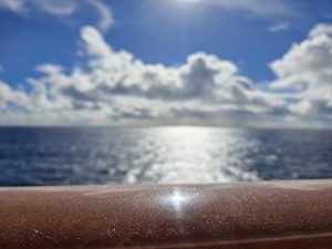 salt on the balcony cruise life